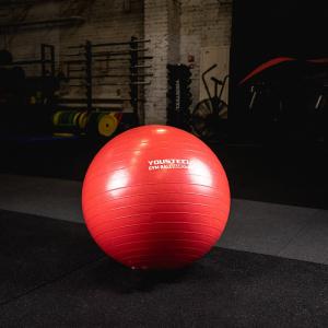 Купить Гимнастический мяч Yousteel Hard 55см в Южно-Сухокумске 
